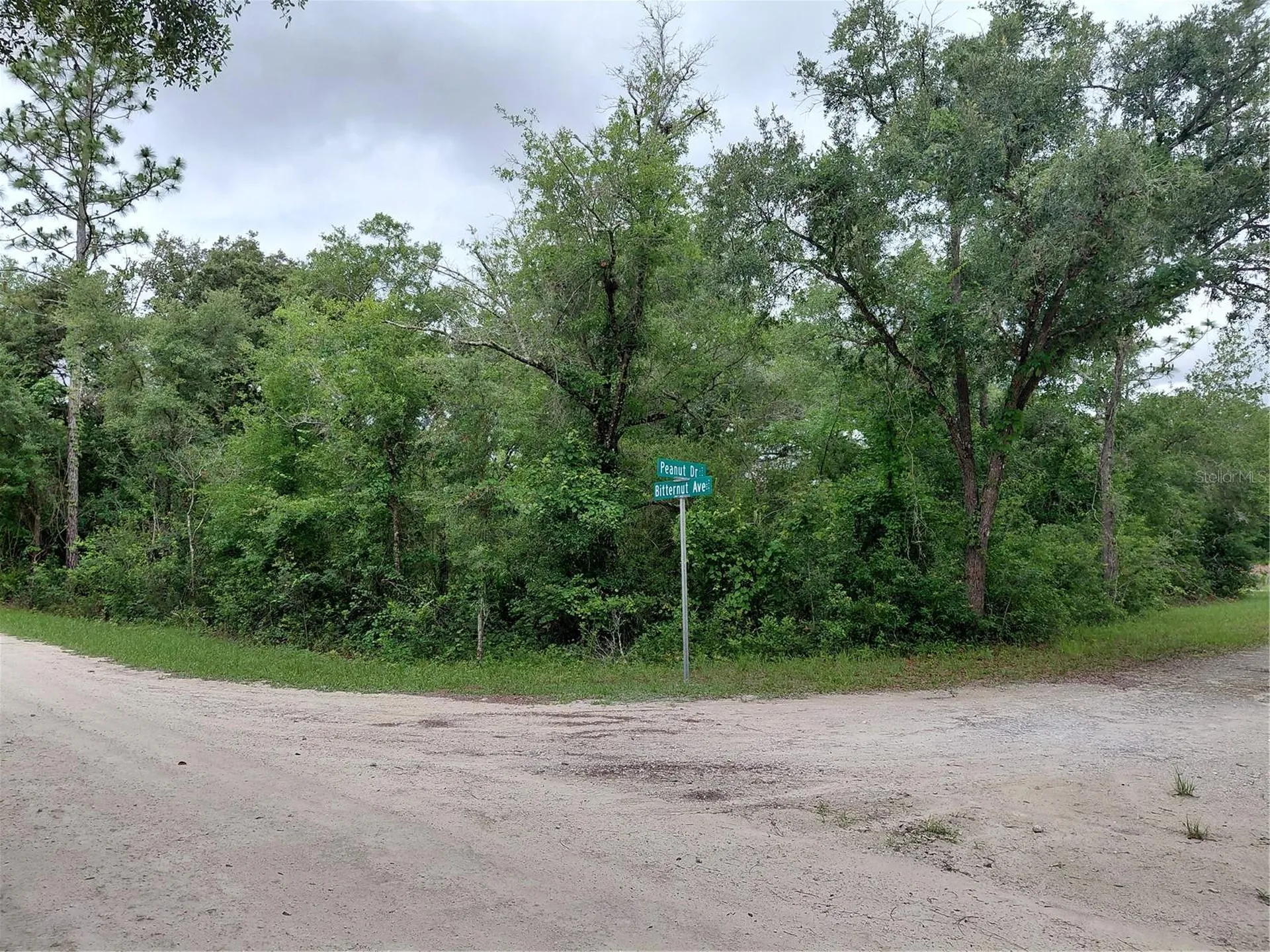 Peanut Drive Webster FL 33597