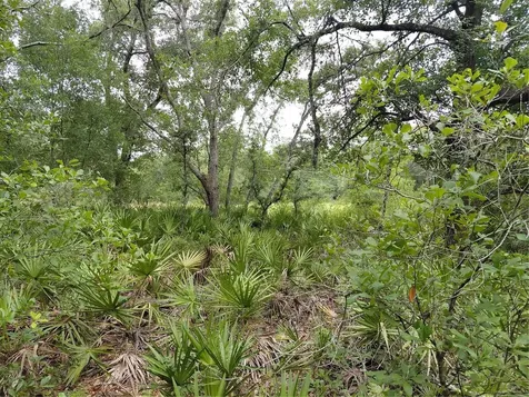 Peanut Drive Webster FL 33597