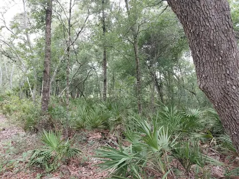 Peanut Drive Webster FL 33597