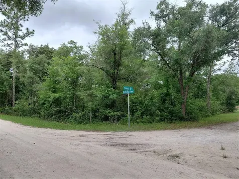 Peanut Drive Webster FL 33597