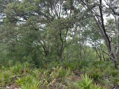Peanut Drive Webster FL 33597