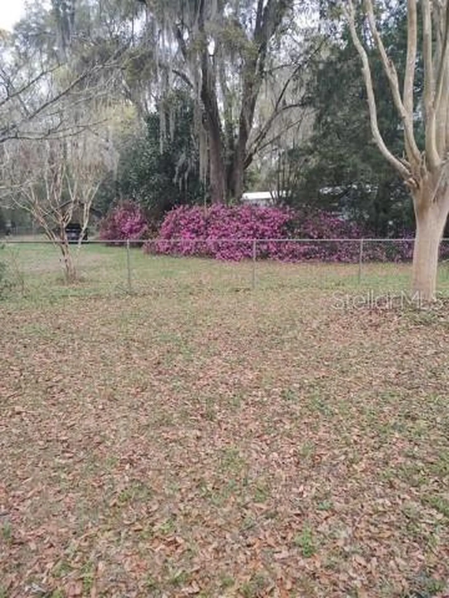 140 Price Road Hawthorne FL 32640