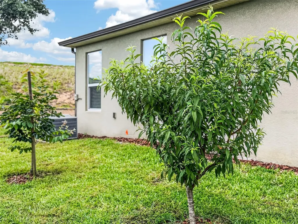 2062 Redbay Avenue Minneola FL 34715