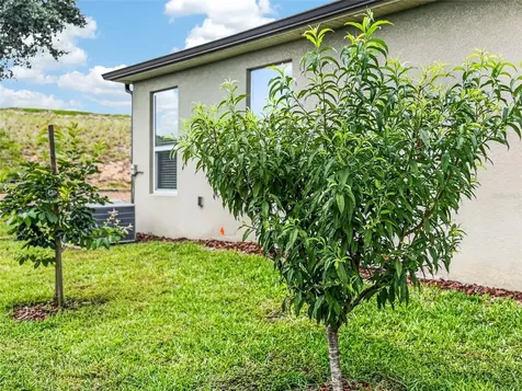 2062 Redbay Avenue Minneola FL 34715