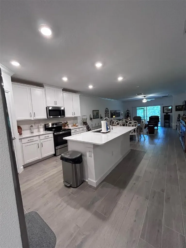 16919 Forge Surf Street Land O Lakes FL 34638