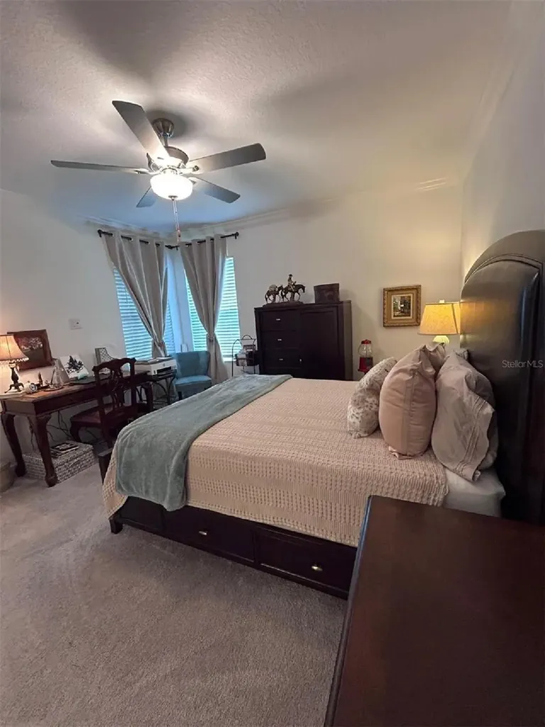 16919 Forge Surf Street Land O Lakes FL 34638