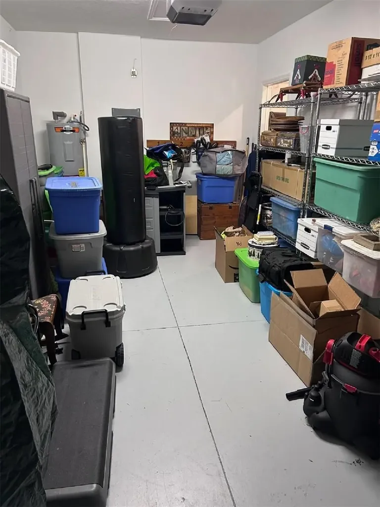 16919 Forge Surf Street Land O Lakes FL 34638