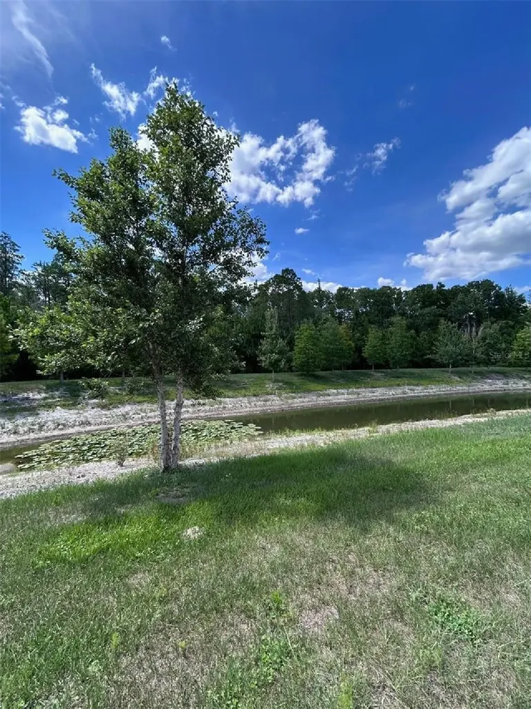 16919 Forge Surf Street Land O Lakes FL 34638