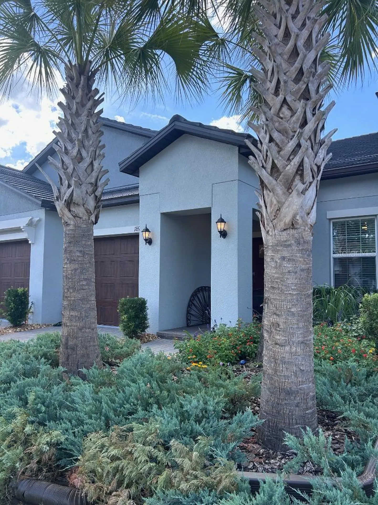 16919 Forge Surf Street Land O Lakes FL 34638