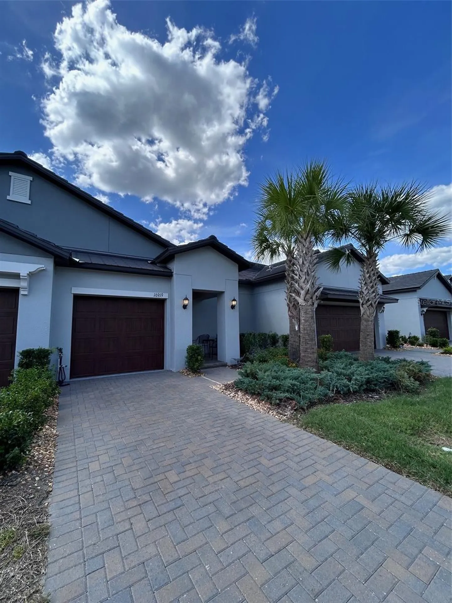 16919 Forge Surf Street Land O Lakes FL 34638