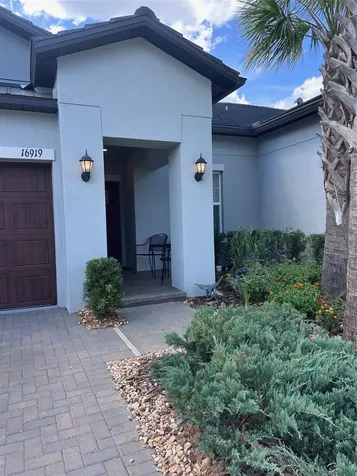 16919 Forge Surf Street Land O Lakes FL 34638