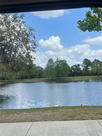 14392 Bridgewater Crossings Boulevard Windermere FL 34786