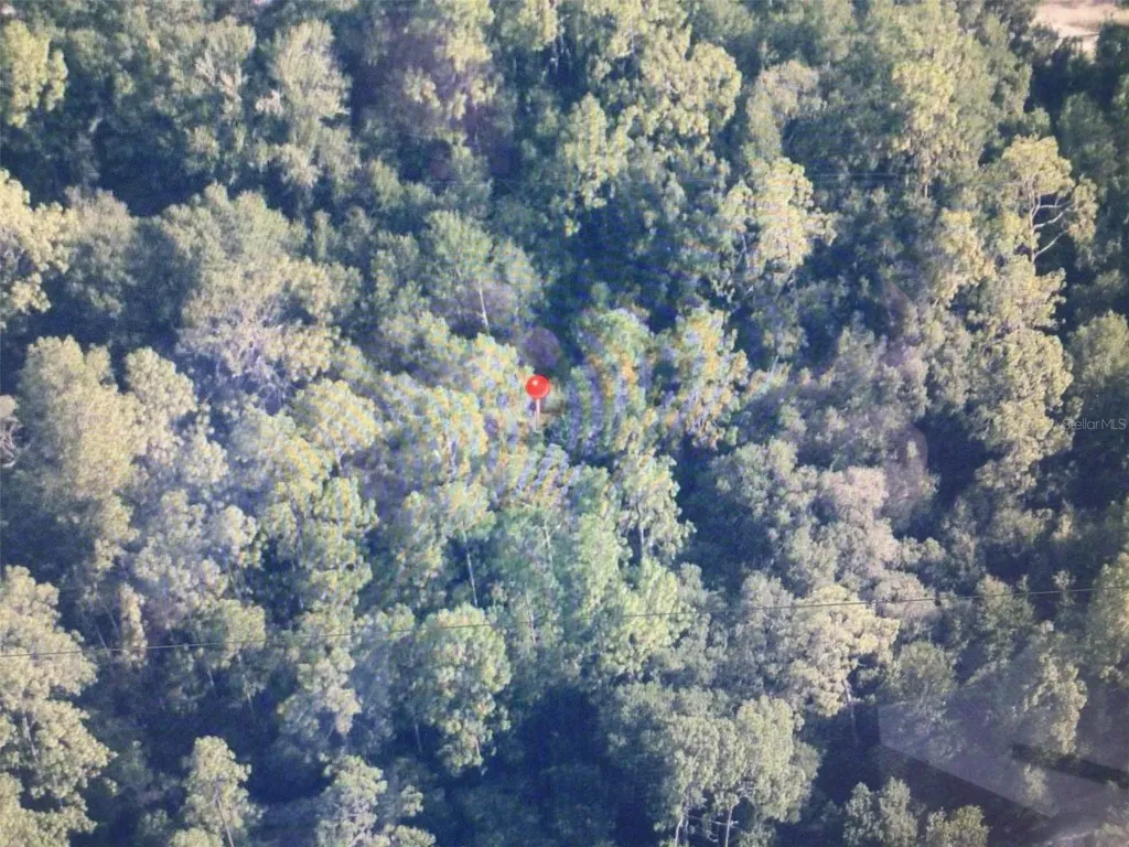0 SW 153 Lane Dunnellon FL 34432