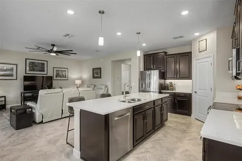 31609 Cannon Rush Drive San Antonio FL 33576