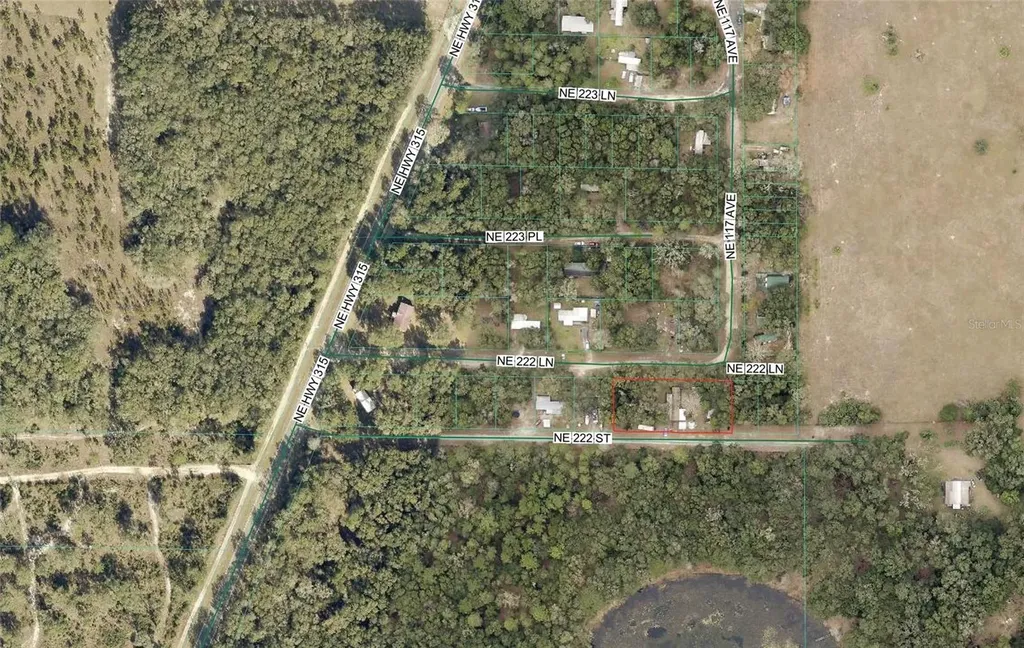 11710 NE 222nd Lane Fort Mc Coy FL 32134
