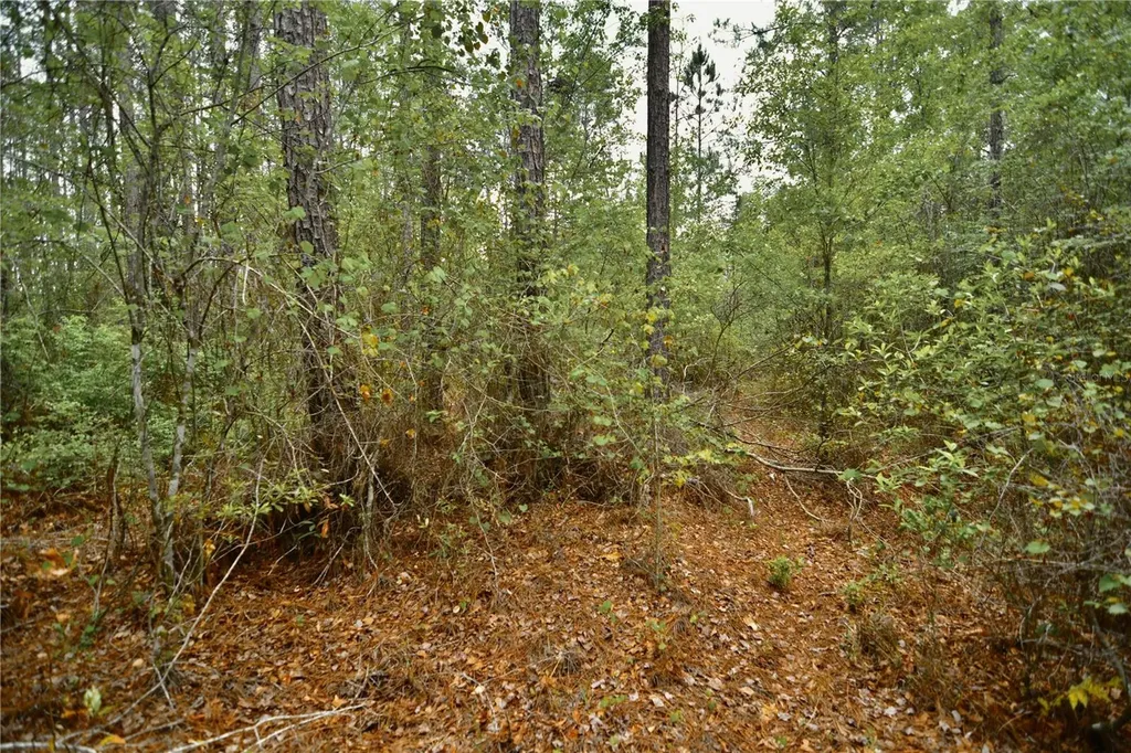 Sweet Gum Road Glen St Mary FL 32040