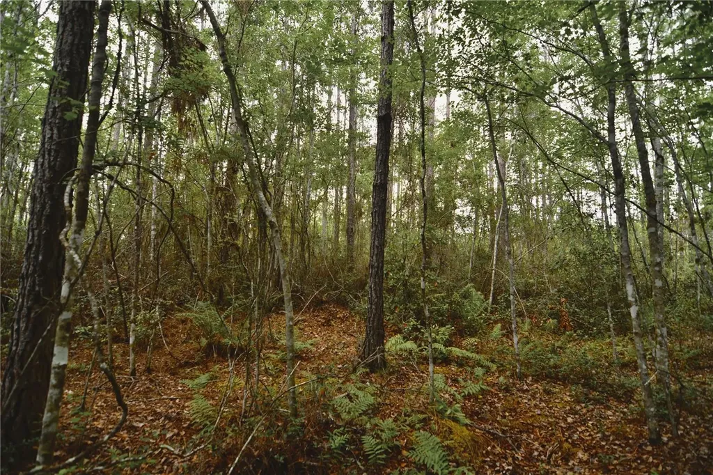 Sweet Gum Road Glen St Mary FL 32040