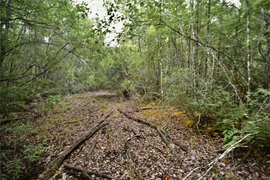 Sweet Gum Road Glen St Mary FL 32040