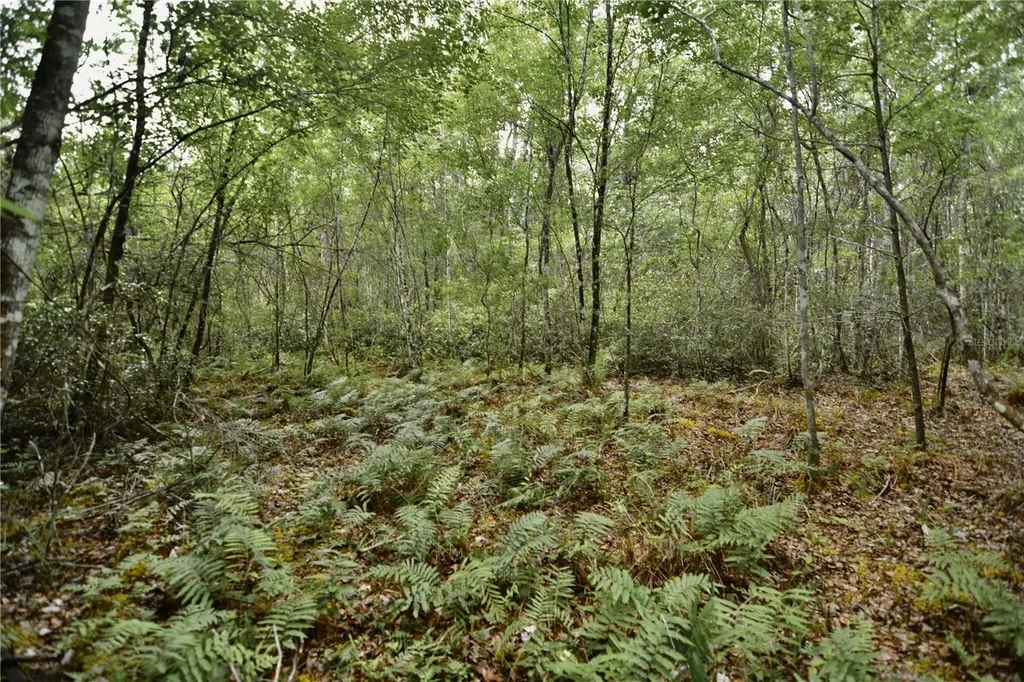 Sweet Gum Road Glen St Mary FL 32040