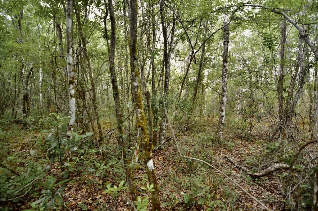 Sweet Gum Road Glen St Mary FL 32040