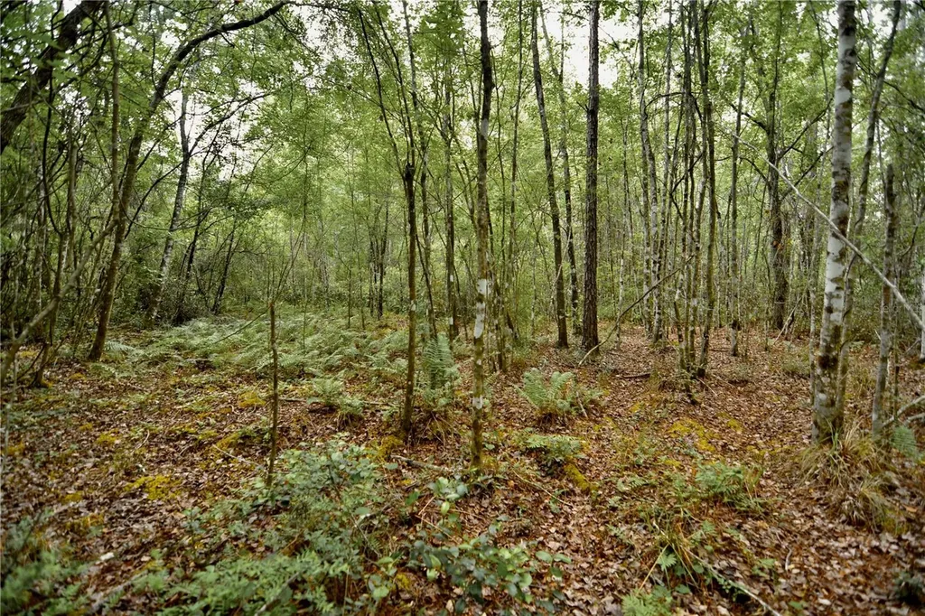Sweet Gum Road Glen St Mary FL 32040