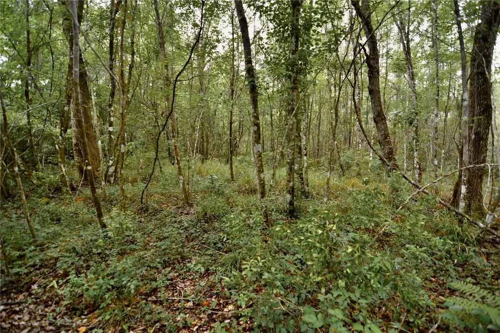 Sweet Gum Road Glen St Mary FL 32040