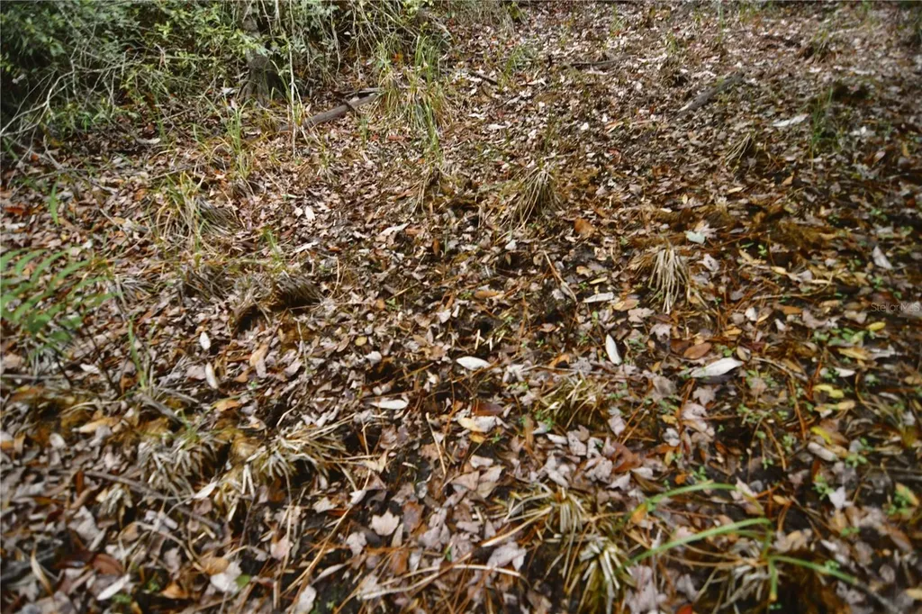 Sweet Gum Road Glen St Mary FL 32040