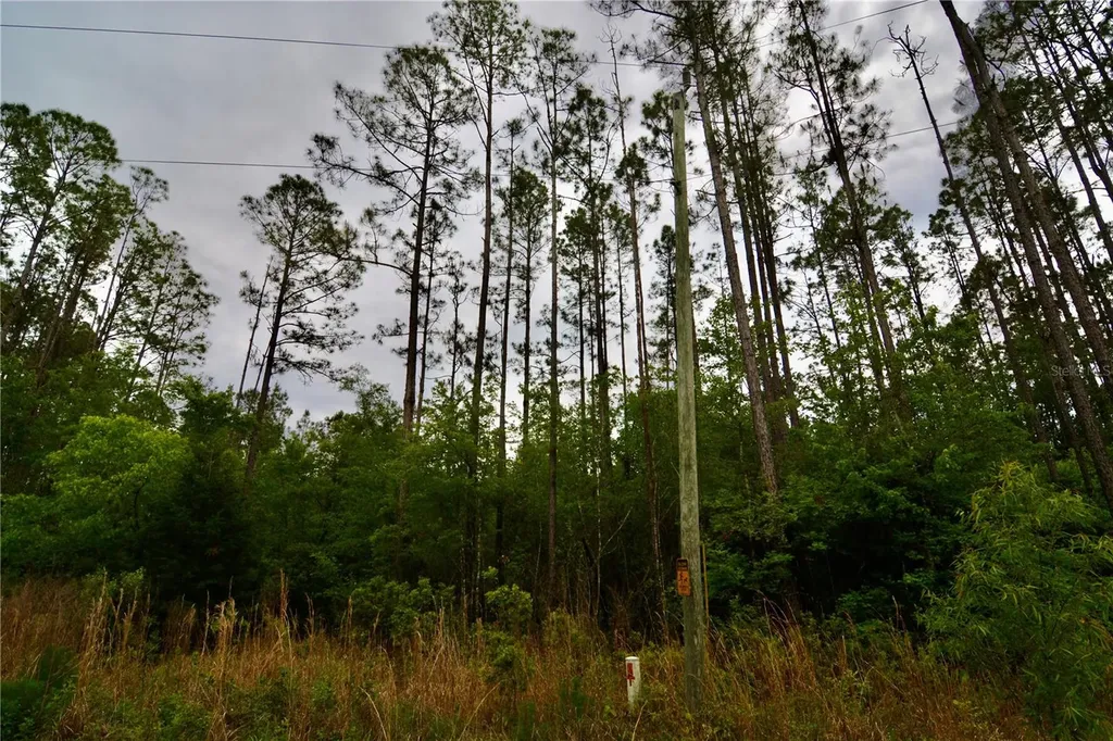 Sweet Gum Road Glen St Mary FL 32040