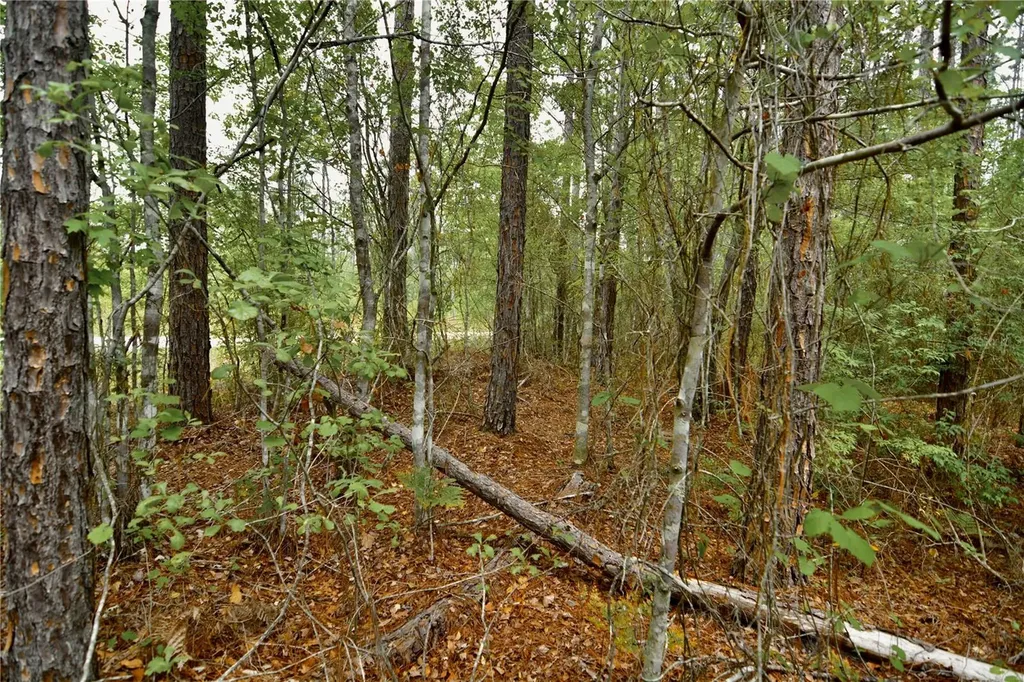 Sweet Gum Road Glen St Mary FL 32040