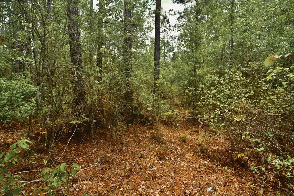 Sweet Gum Road Glen St Mary FL 32040