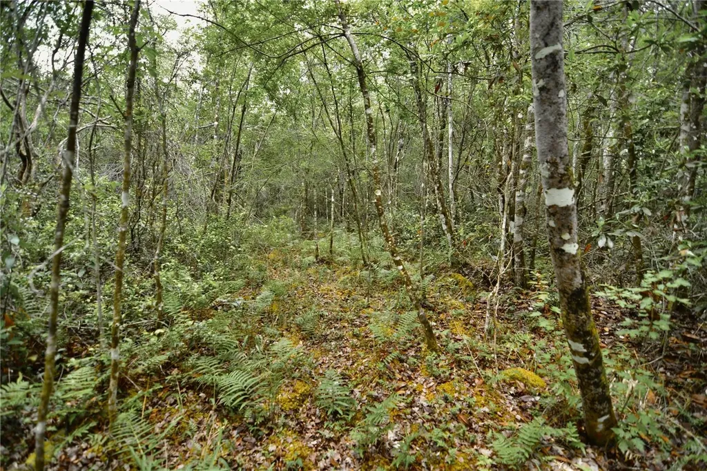 Sweet Gum Road Glen St Mary FL 32040