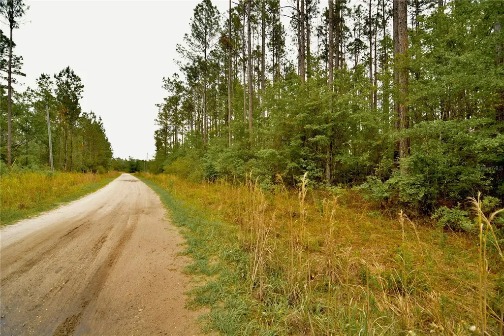 Sweet Gum Road Glen St Mary FL 32040