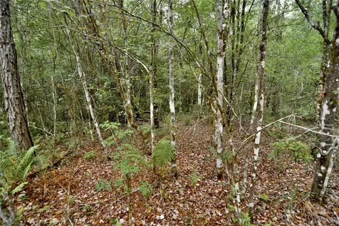 Sweet Gum Road Glen St Mary FL 32040