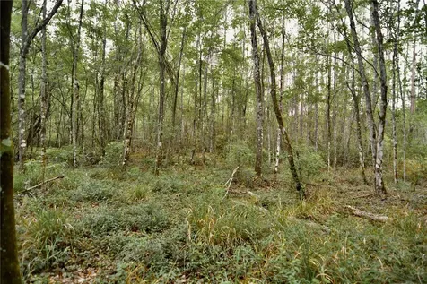Sweet Gum Road Glen St Mary FL 32040