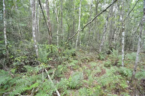 Sweet Gum Road Glen St Mary FL 32040