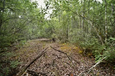 Sweet Gum Road Glen St Mary FL 32040