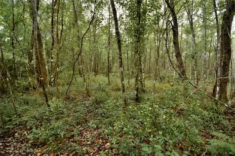 Sweet Gum Road Glen St Mary FL 32040