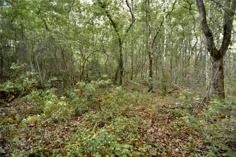 Sweet Gum Road Glen St Mary FL 32040
