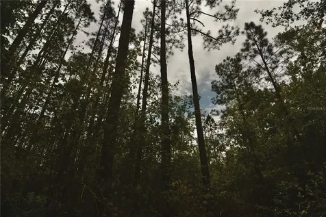 Sweet Gum Road Glen St Mary FL 32040