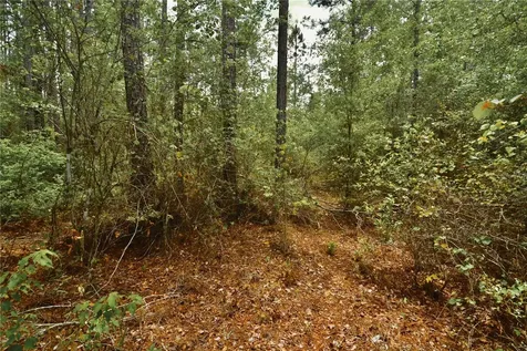 Sweet Gum Road Glen St Mary FL 32040