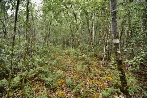 Sweet Gum Road Glen St Mary FL 32040
