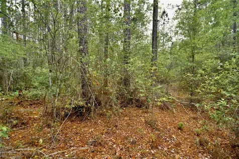 Sweet Gum Road Glen St Mary FL 32040