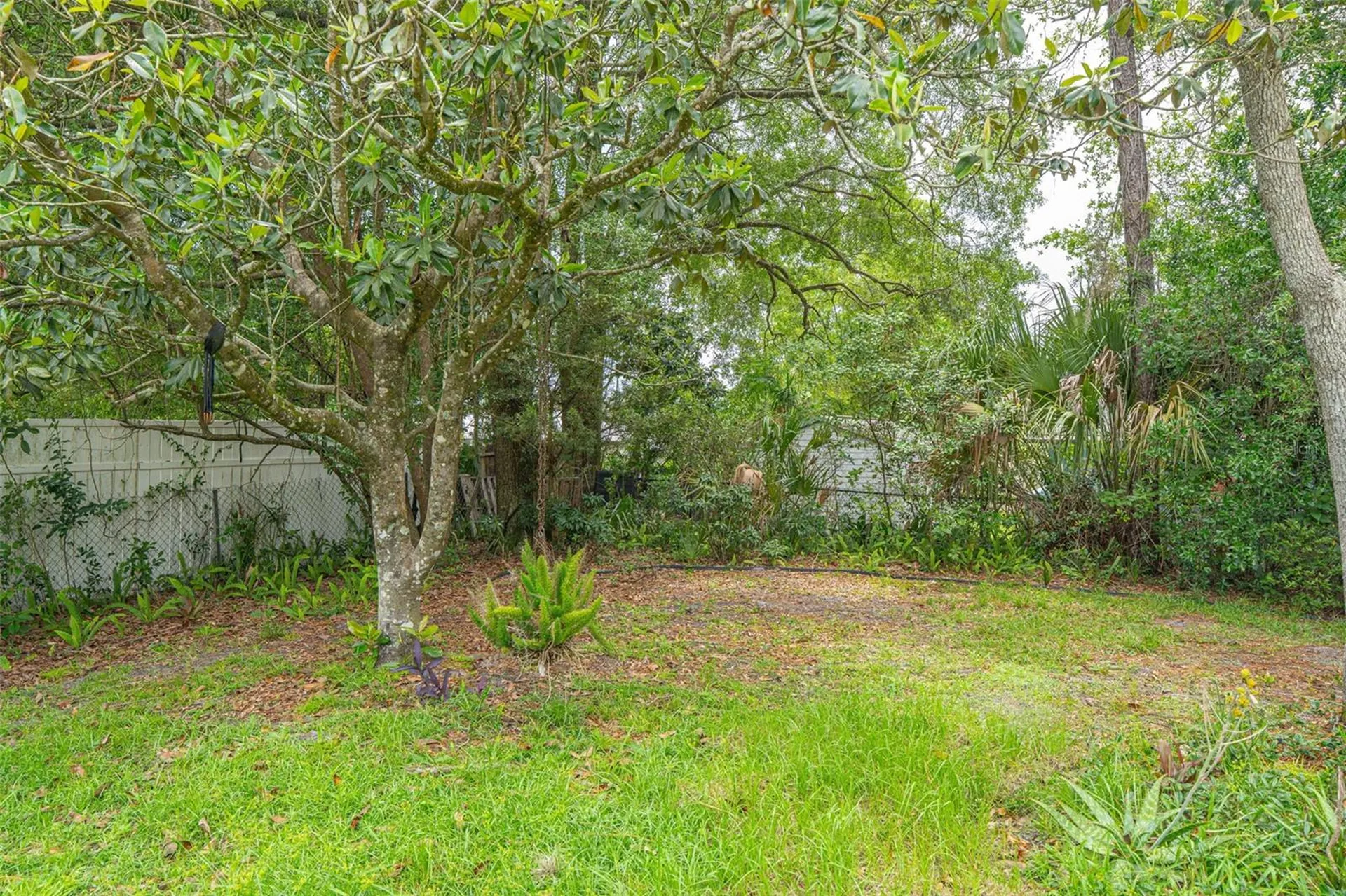 2334 Dartmouth Road Deland FL 32724