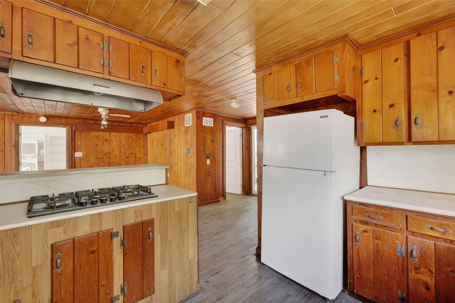 527 E Lemon Avenue Eustis FL 32726