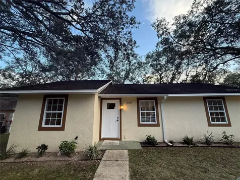 40233 Palm Street Lady Lake FL 32159
