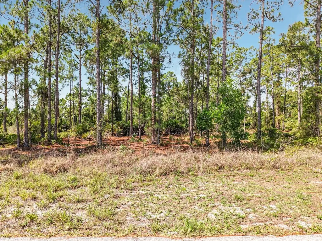 722 Manuel Street E Lehigh Acres FL 33974