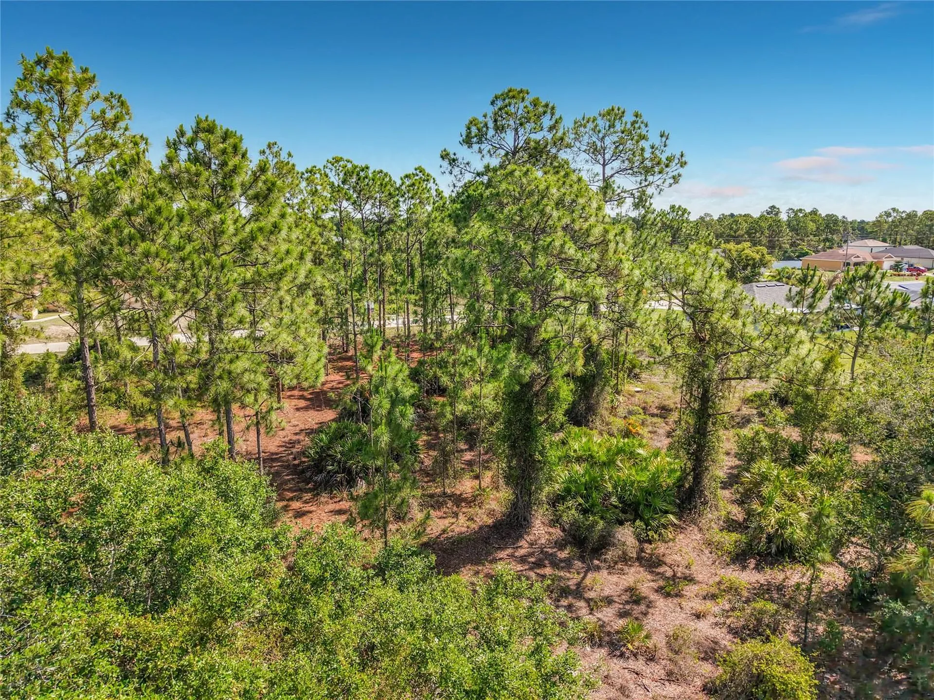 722 Manuel Street E Lehigh Acres FL 33974