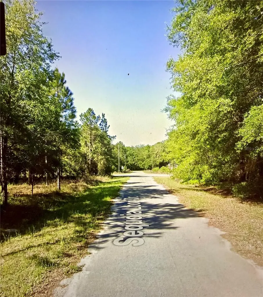 Lot 39 SE Sequoia Loop Drive Ocklawaha FL 32179