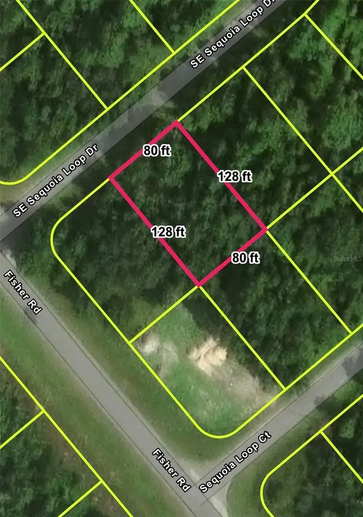 Lot 39 SE Sequoia Loop Drive Ocklawaha FL 32179