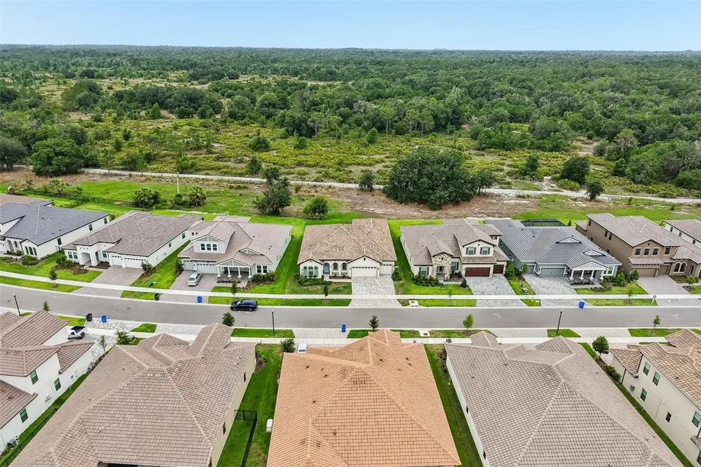 14537 Swiss Bridge Drive Lithia FL 33547